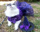 Cat quot Witch quot Costume w Hat - Purple Stars and Black Cats