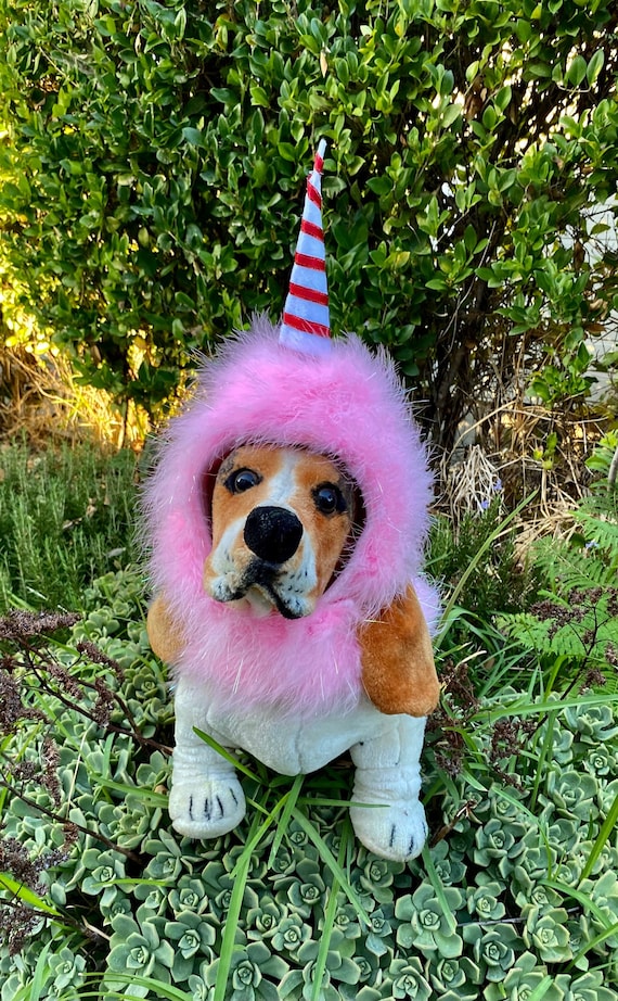 party animals fancy dress pontypridd Party Animal Dress