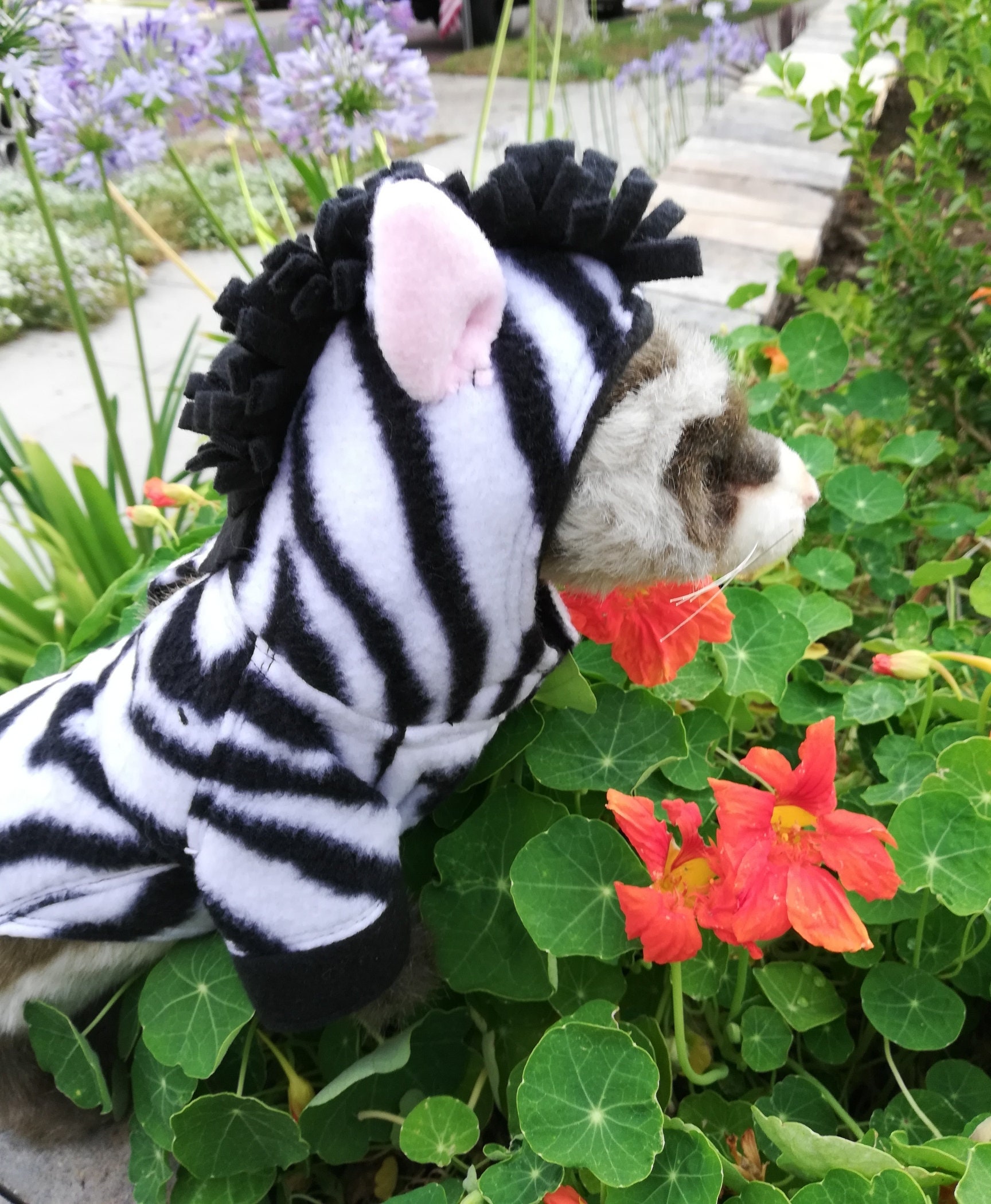 NEW* Furever Ferrets- 