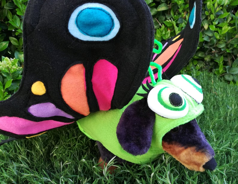 XLXXL-Party time Butterfly pet costume by TKCCOZYPAWZ