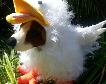 Crazy Chicken Costume for Dog XSmall-Medium by Cozy Pawz