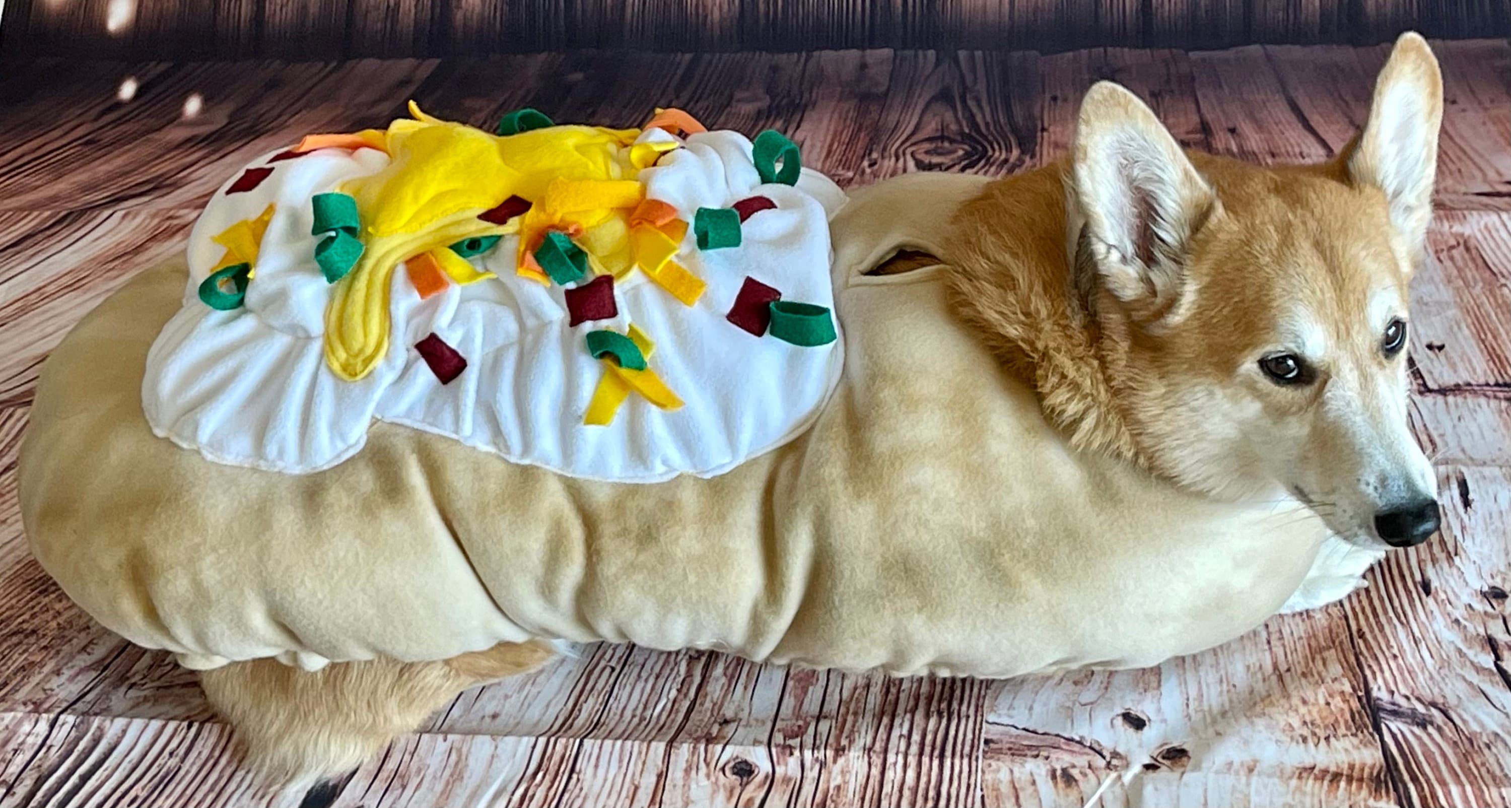Fully Loaded BAKED POTATO Dog or Cat Costume Etsy