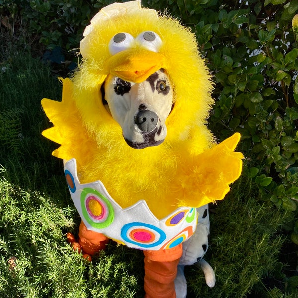 New*Chick in Easter Egg standing costume for Dogs and Cats