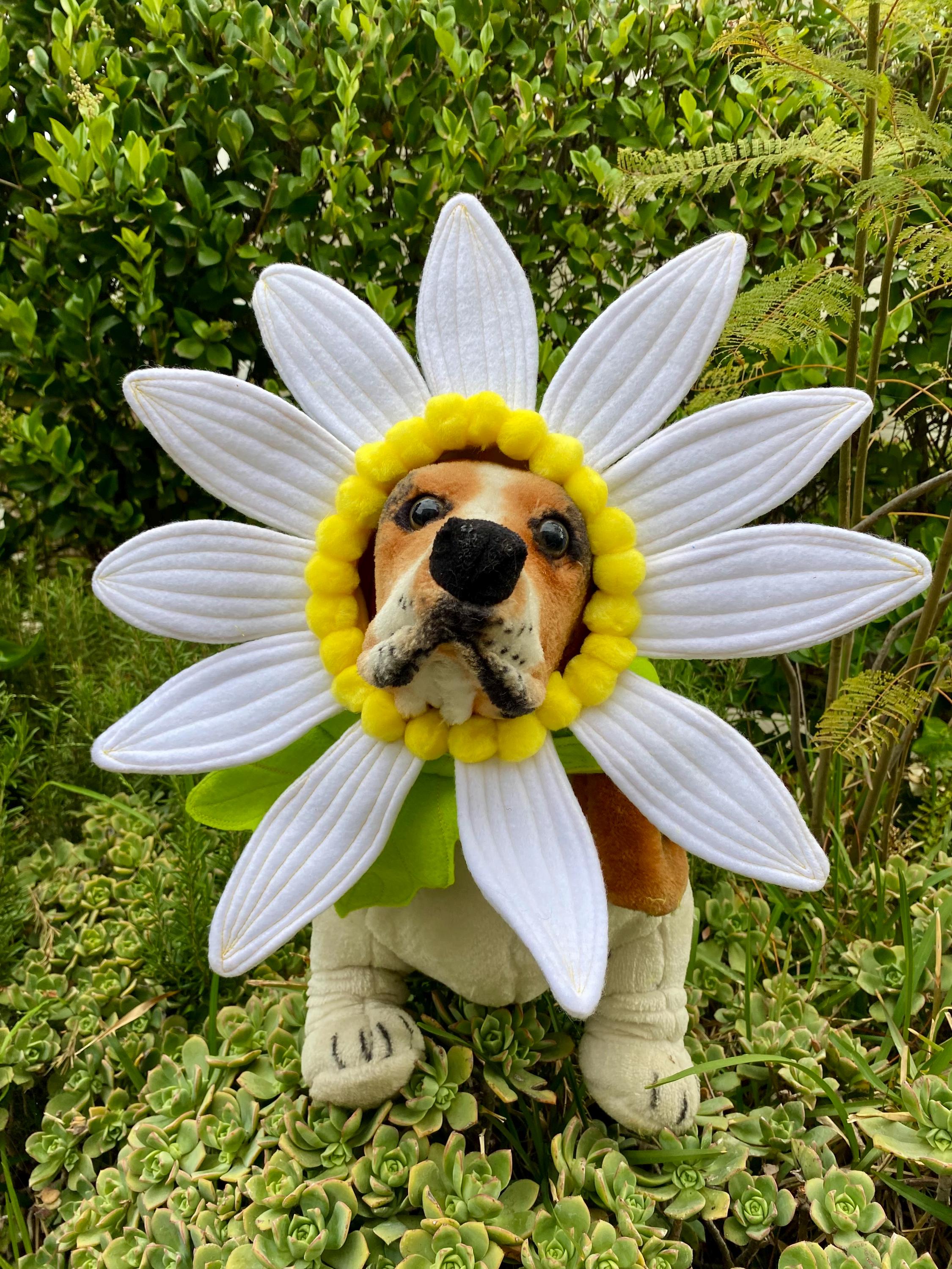 Flowerです。 Sadies Lazy Doggie Daisy Headpiece by Tkccozypawz - Etsy