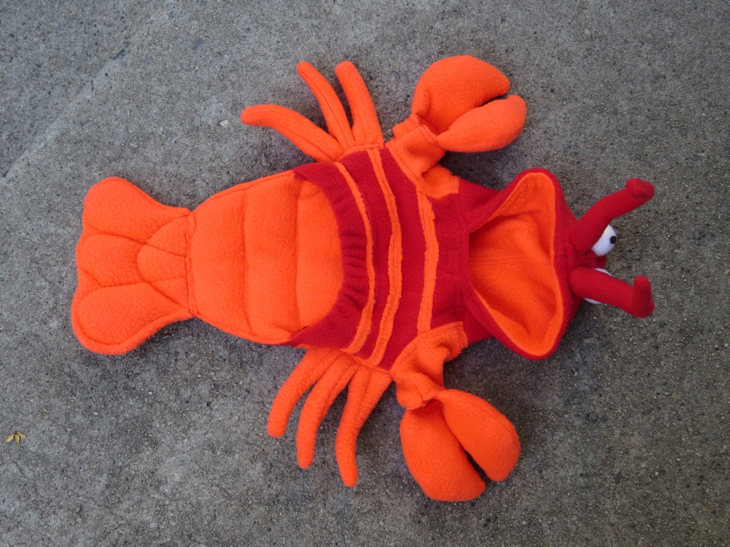 Lobster Costume for Dog or cat xs. lg. by Cozy Pawz Etsy