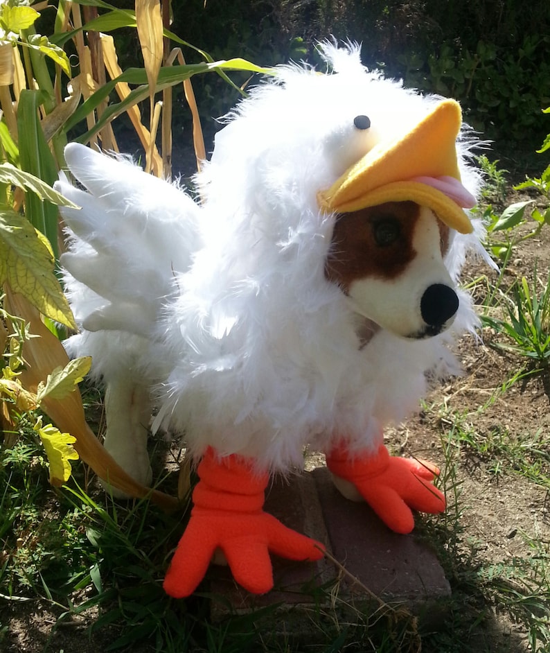 Crazy Chicken Costume for Dog Xsmallmedium by Cozy Pawz Etsy