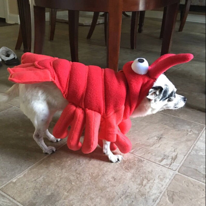Lobster Costume for Dog X Largexxlarge by Cozy Pawz Etsy UK