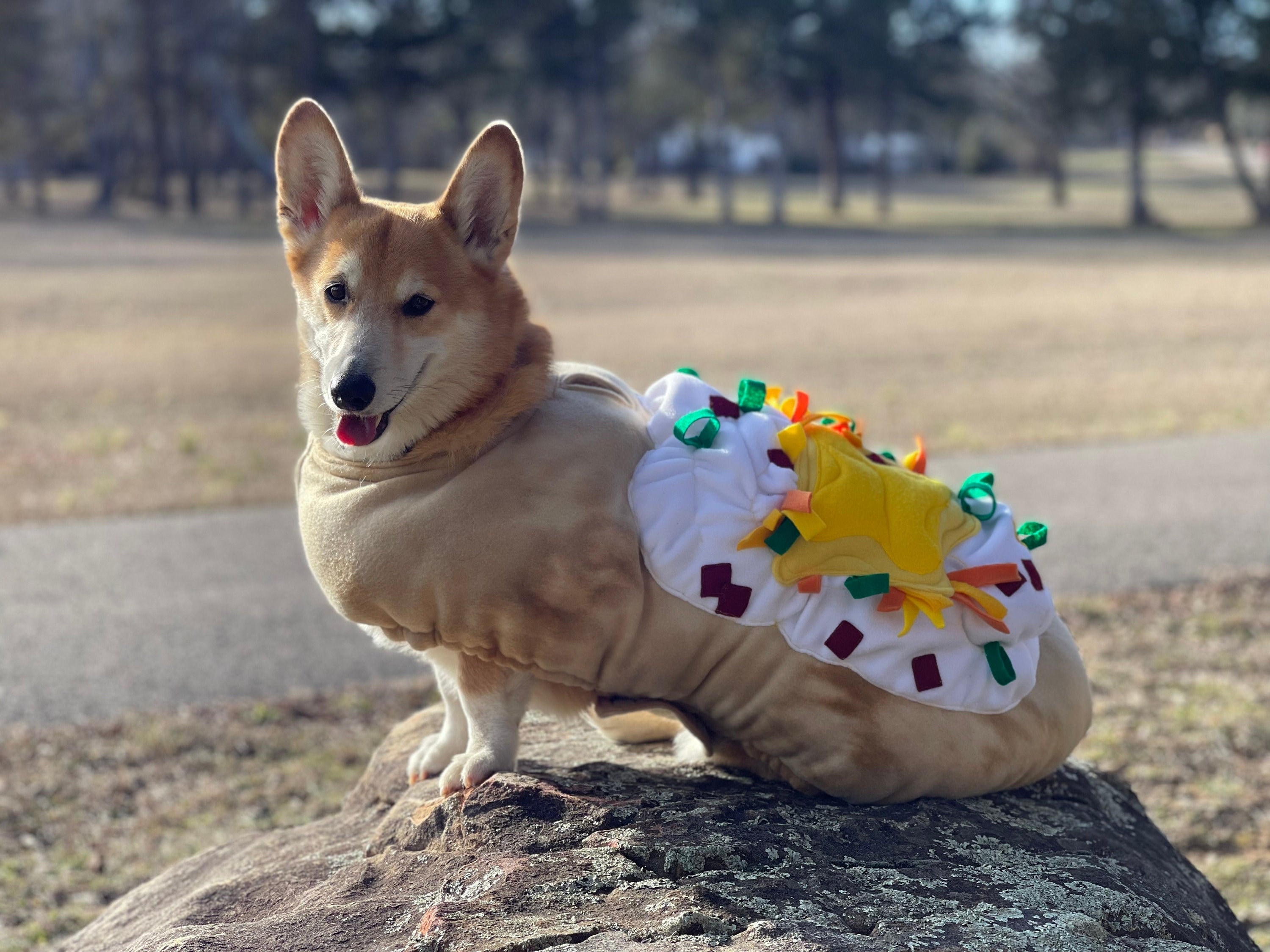 Fully Loaded BAKED POTATO Dog or Cat Costume Etsy