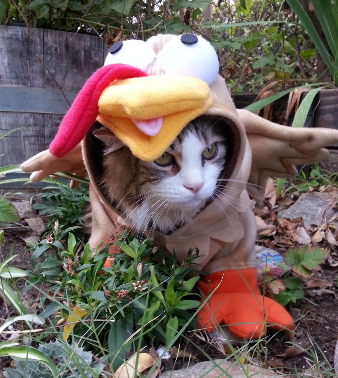  Happy Thanksgiving Turkey Fake Kitten Cat Day Love Turkey Tank  Top : Clothing, Shoes & Jewelry