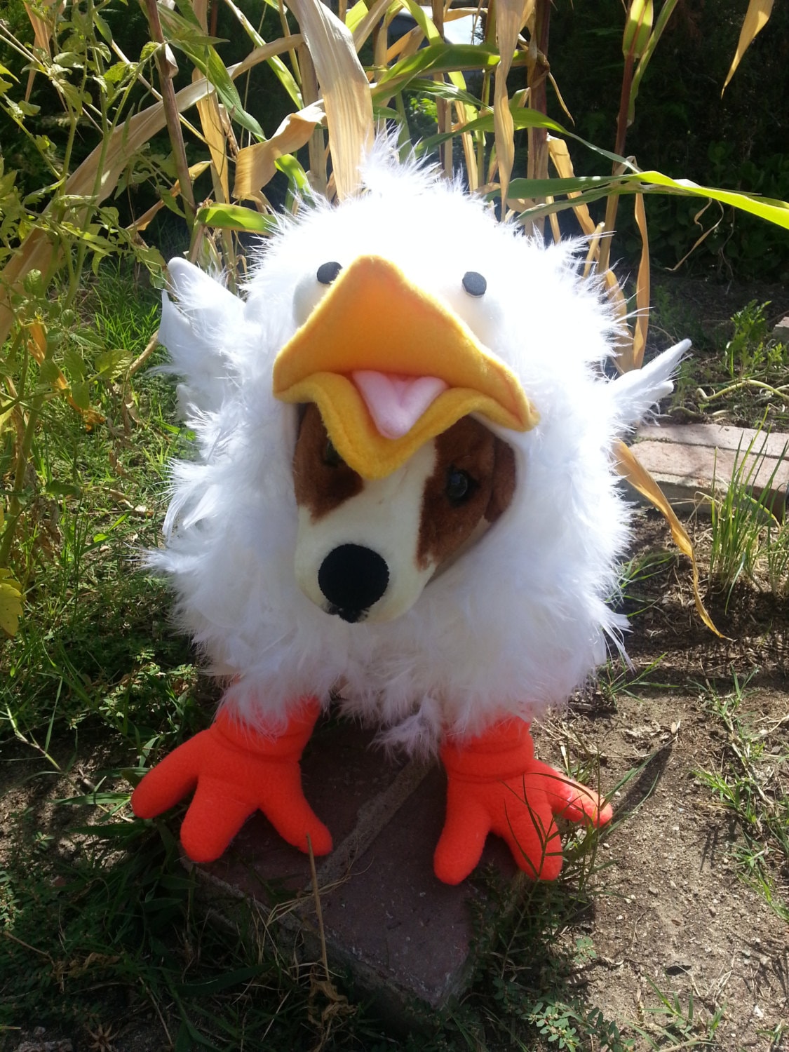 Crazy Chicken Costume for Dog Xsmallmedium by Cozy Pawz Etsy