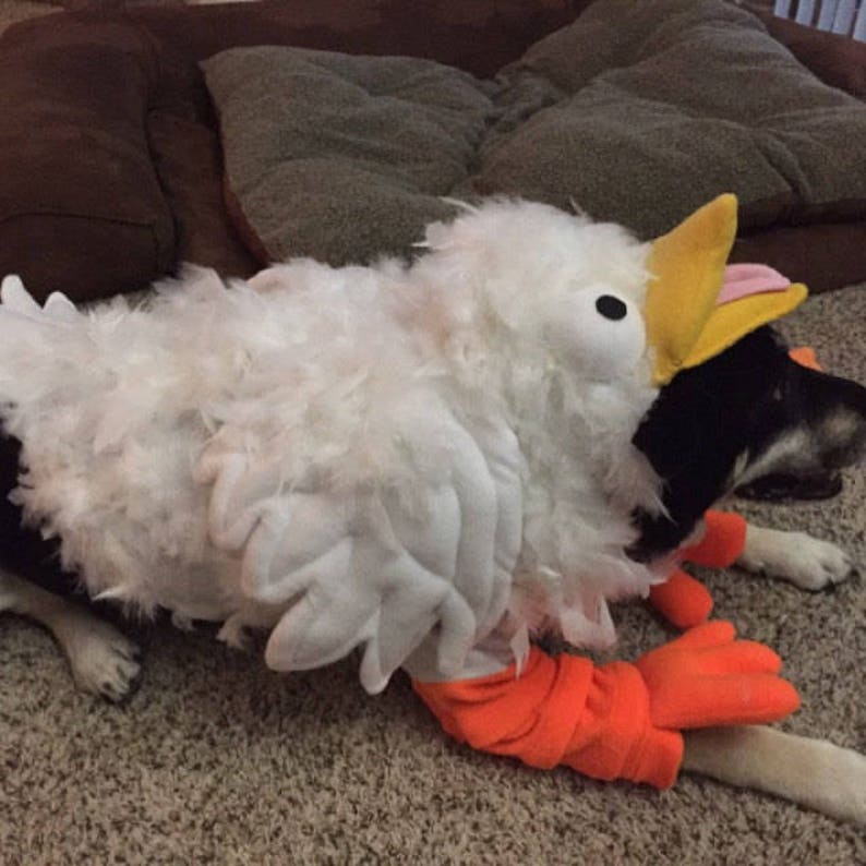Crazy Chicken Costume for Dog Largexxlarge by Cozy Pawz Etsy