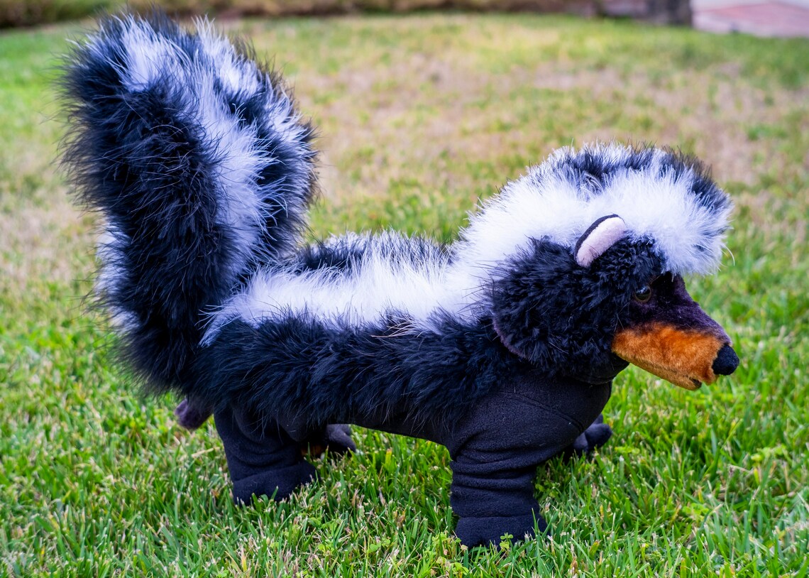4 legged pj style skunk costume for Dog Skunk Costume
4 legged PJ style SKUNK costume for Small dogs