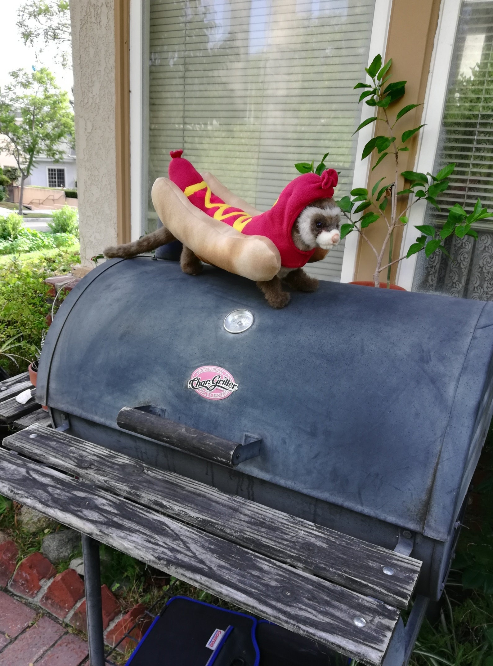 New Furever Ferrets - "Der Weiner Weasel" By Tkccozypawz