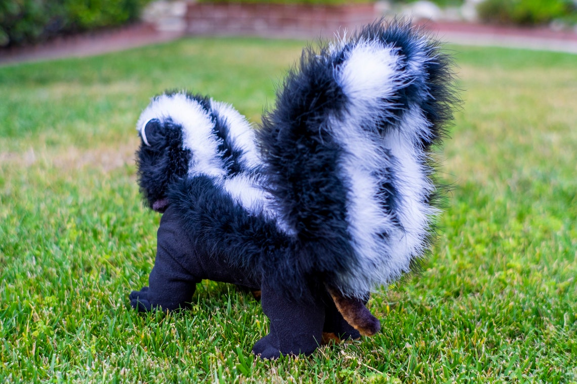 Dog Skunk Costume
 4 legged PJ style SKUNK costume for Small dogs
