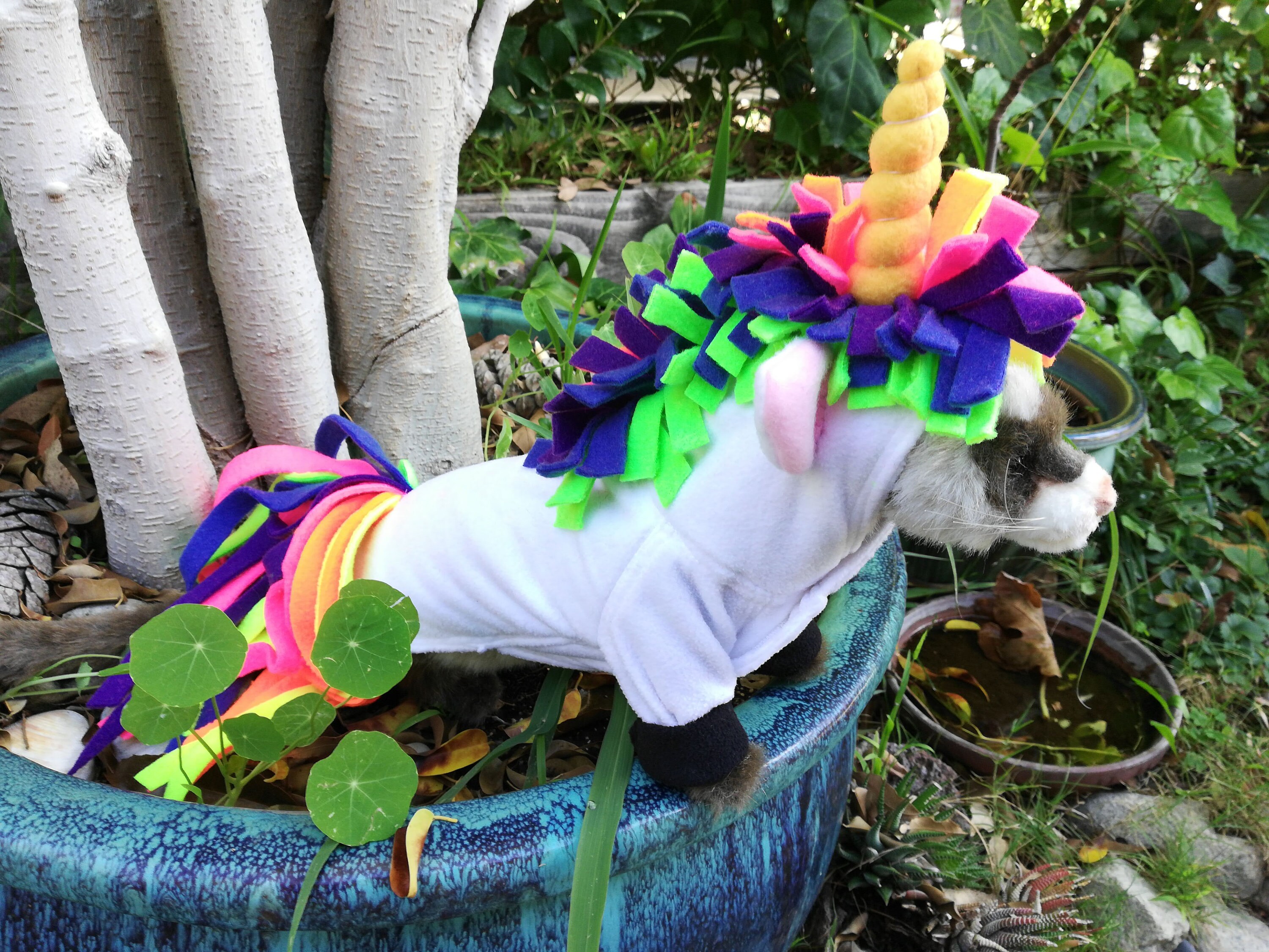 unicorn costume unicorn hoodies for adults