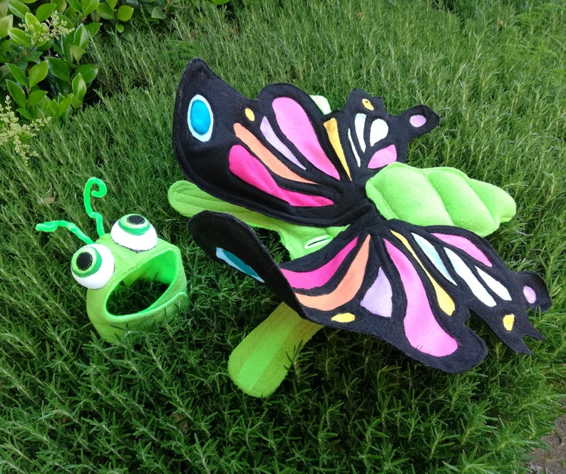 XLXXL-Party time Butterfly pet costume by TKCCOZYPAWZ