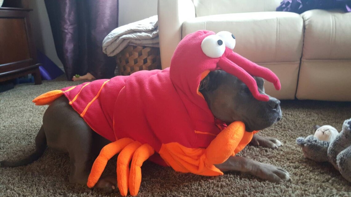Lobster Costume for Dog X Largexxlarge by Cozy Pawz Etsy