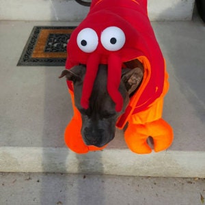 Dog lobster costume deals