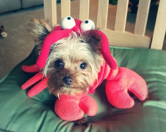 Lobster Costume for Dog or cat- ( xs. - lg.) by Cozy Pawz