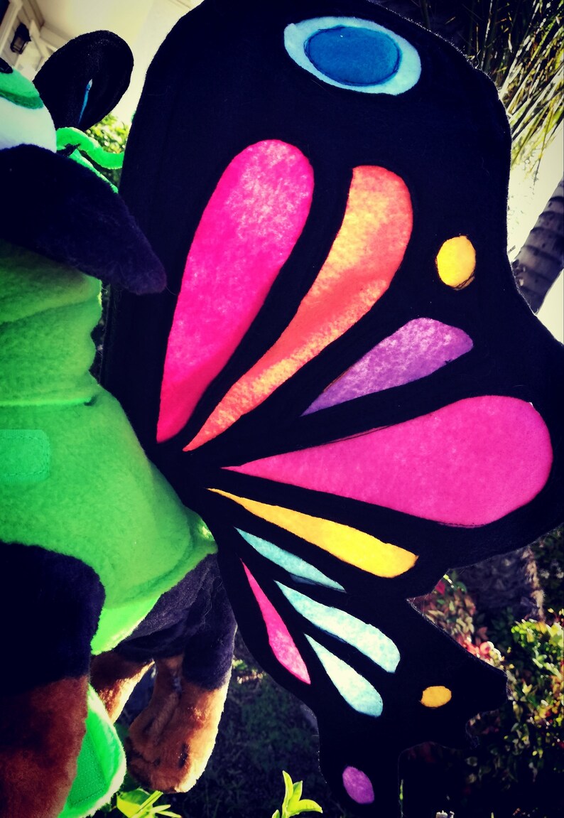 XLXXL-Party time Butterfly pet costume by TKCCOZYPAWZ