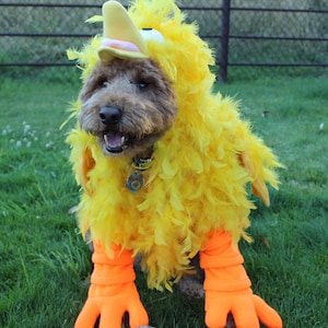 Big Yellow Bird Costume for Dog Large-XXLarge by Cozy Pawz