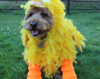 Big Yellow Bird Costume for Dog Large-XXLarge by Cozy Pawz