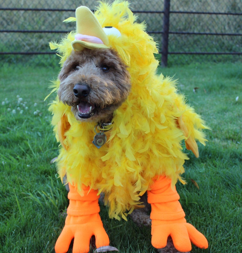 Big Yellow Bird Costume for Dog Largexxlarge by Cozy Pawz Etsy