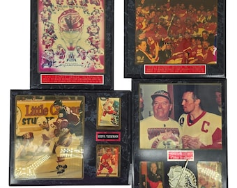 Detroit Red Wings 1997 1998 Stanley Cup Steve Yzerman Plaque Set 4pc NHL Vintage