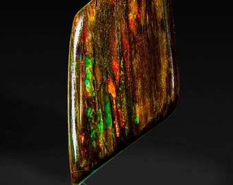Virgin Valley Precious Opal Conk Wood