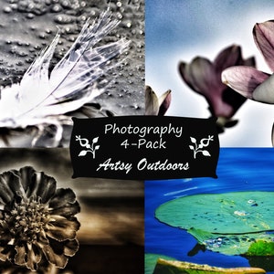 Digital Photography Set - 4-Pack - Artsy Outdoors - Nature Photography - Digital Download - Abstract Pictures - Wall Art - Stock Photography