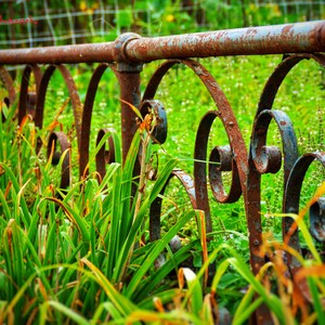 Rusted Fence Photo - Digital Photography - Digital Download - Wall Art - Printable Art - jaso.bones photography - Nature Photography