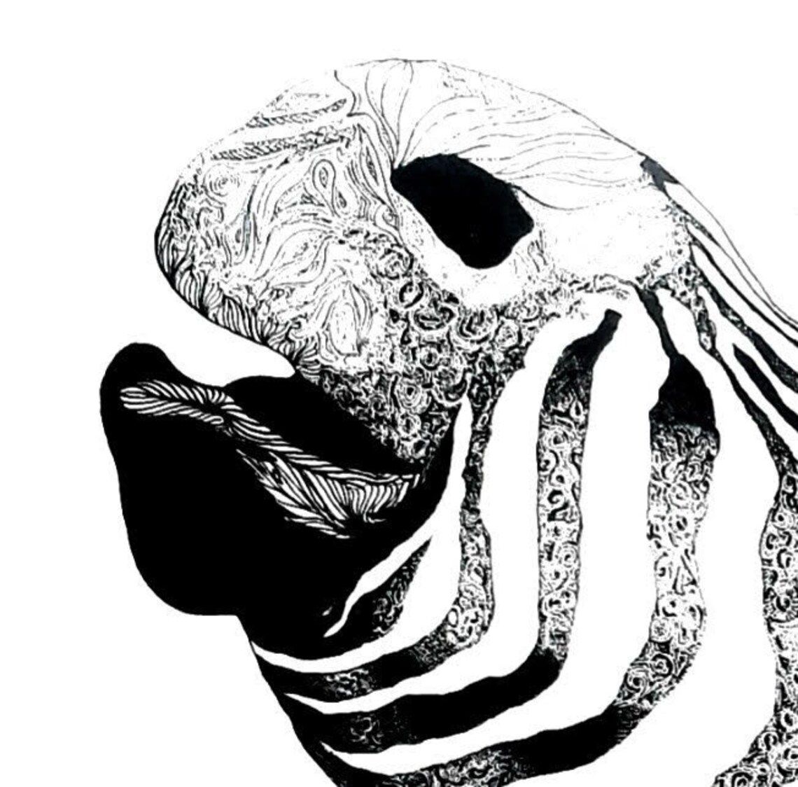 Joyful Zebra Fine Art Pen and Ink Illustration Digital | Etsy