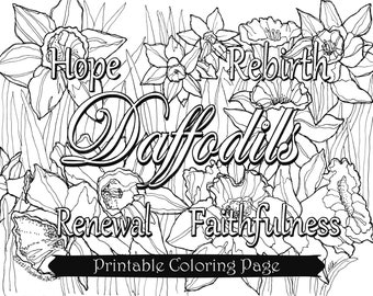 Printable Coloring Page - Daffodils - Hope, Rebirth, Renewal, Faithfulness - Adult Coloring - Digital Download