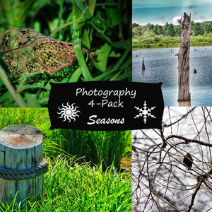 Digital Photography Set - 4-Pack - Seasons - Nature Photography - Digital Download - Scenic Pictures - Wall Art - Stock Photos - Printable