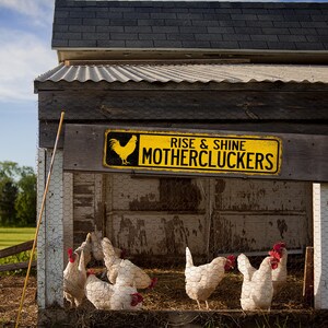 May include: A yellow sign with black text reads "Rise & Shine Mothercluckers" above a chicken coop with white chickens inside.