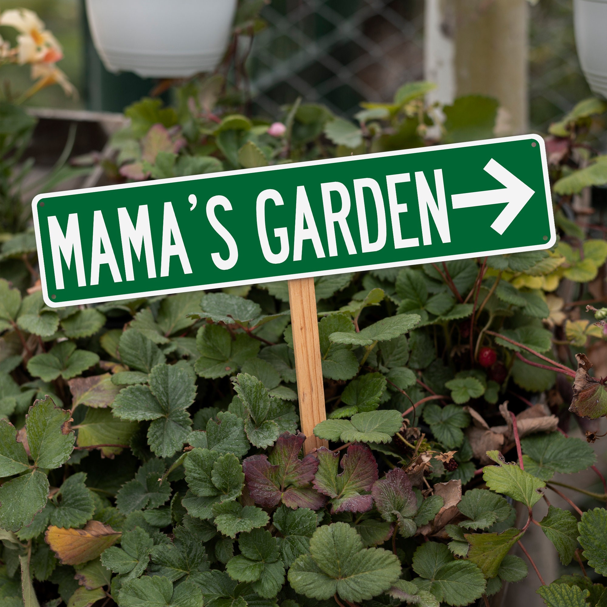 Strret Sign Photo Cards Custom Street Sign Personalized Street Sign Directional Signs Multiple ...