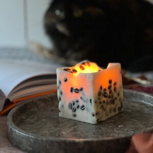 K&ouml;nnte beinhalten: Eine quadratische, wei&szlig;e Kerze mit eingebetteten Kaffeebohnen, die auf einem grauen Marmortablett steht. Die Kerze ist angez&uuml;ndet und strahlt ein warmes Licht aus. Eine schwarze Katze ist im Hintergrund verschwommen, zusammen mit einem offenen Buch.