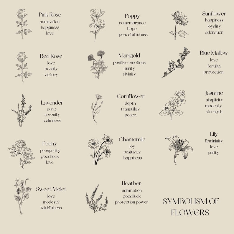 Pu&ograve; includere: Un'illustrazione in bianco e nero di vari fiori con i loro significati simbolici. I fiori includono una rosa rosa, una rosa rossa, un papavero, un tagete, un girasole, una malva blu, lavanda, un fiordaliso, gelsomino, una peonia, una camomilla, un giglio, una violetta dolce e erica.