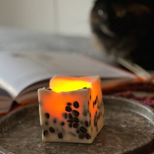 K&ouml;nnte beinhalten: Eine quadratische Kerze mit warmem Schein, eingebettet mit Kaffeebohnen, steht auf einem grauen Metalltablett. Das Wachs der Kerze ist cremefarben und die Kaffeebohnen sind dunkelbraun. Ein Buch und eine Katze sind im Hintergrund.