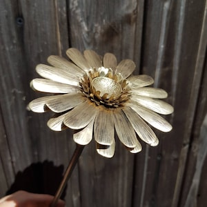 Bronze Gerbera daisy, ideal wedding bouquet flower or 8th wedding anniversary gift. An everlasting flower