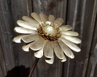 Bronze Gerbera daisy, ideal wedding bouquet flower or 8th wedding anniversary gift. An everlasting flower
