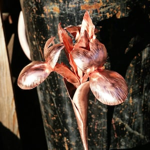 Iris di rame, regalo in metallo, 7°, 9° e 22° anniversario, fiore alternativo unico per matrimonio