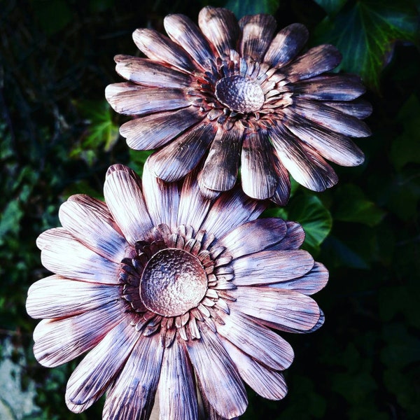 Copper Gerbera daisy, ideal wedding bouquet flower or 7th, 9th 22nd anniversary. An everlasting flower