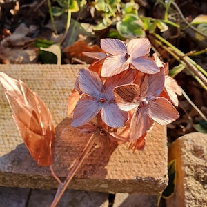 May include: A copper flower sculpture featuring a cluster of delicate petals in a warm, reddish-brown shade. The sculpture is set against a background of brown and green foliage.