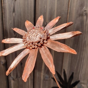 Copper Arnica Montana, dsisy style flower, metal gift, 7th, 9th 22nd anniversary, unique alternative wedding flower