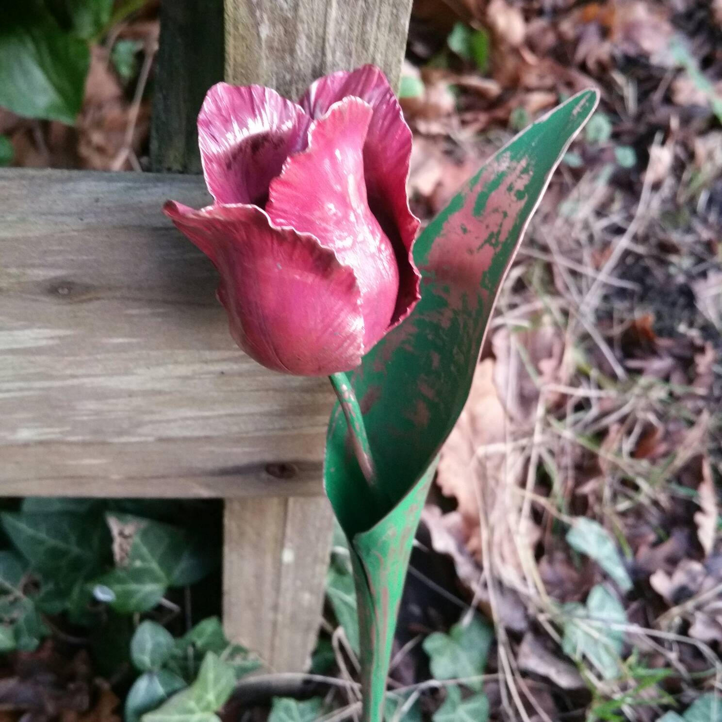 Red metal tulip copper ruffled tulip parrot tulip floral Etsy