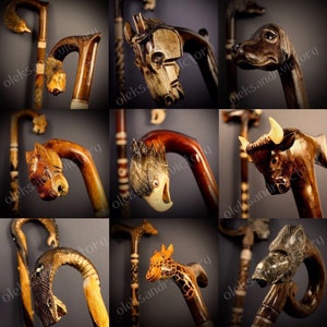 Pu&ograve; includere: Nove bastoni da passeggio con teste di animali intagliate in modo intricato. Le teste sono in legno e dipinte in vari colori. I bastoni sono in legno scuro e hanno una finitura lucida.
