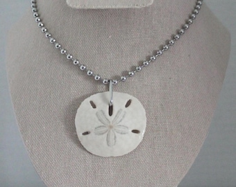 Collar con colgante de dólar de arena auténtico