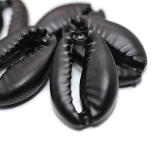 Black Oyster, 13x20mm, Colgante shell, amuletos Cowrie, conector de concha marina, amuletos Cowrie Shell, colgante de concha, fabricación de joyas DIY, SHLK