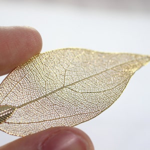 Puede incluir: Una hoja de oro con un delicado y complejo patrón de venas. La hoja está hecha de metal y tiene un acabado brillante.